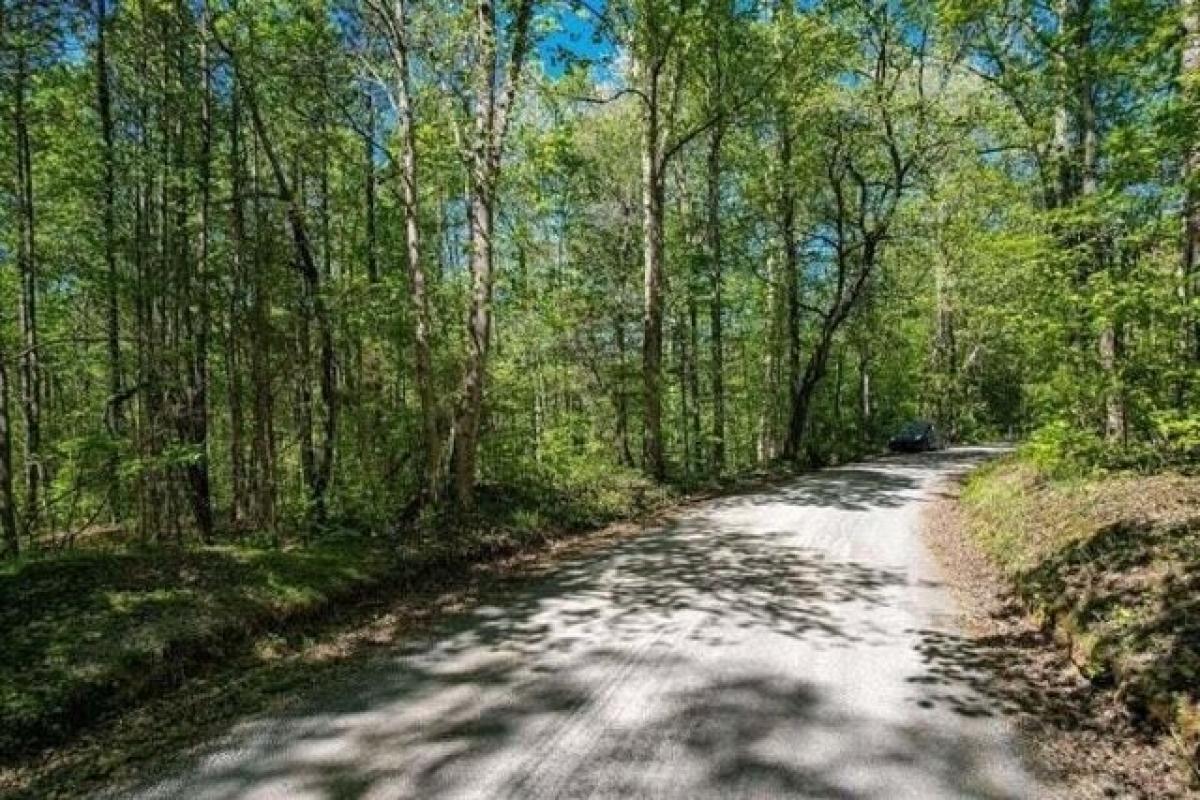 Picture of Residential Land For Sale in Athens, Tennessee, United States