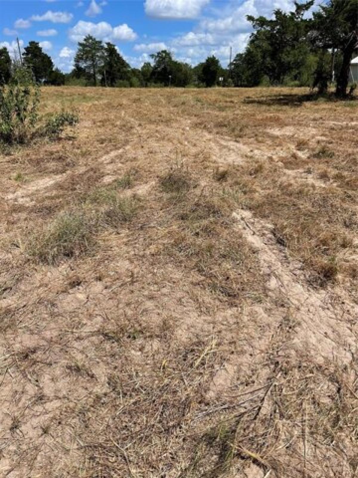 Picture of Residential Land For Sale in West Point, Texas, United States