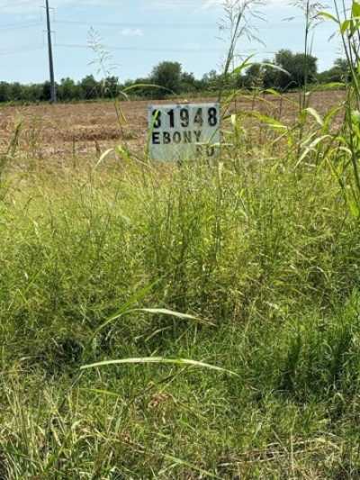 Residential Land For Sale in Los Fresnos, Texas