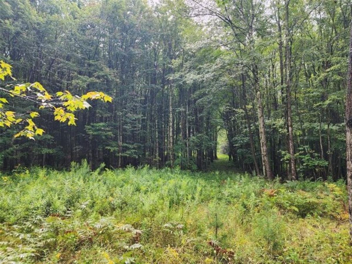 Picture of Residential Land For Sale in Afton, New York, United States