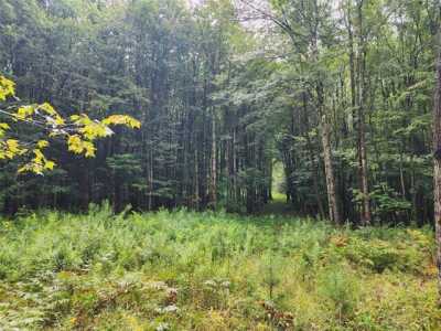 Residential Land For Sale in Afton, New York