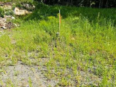 Residential Land For Sale in Pine Plains, New York