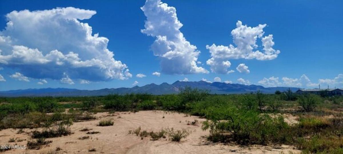 Picture of Residential Land For Sale in Elfrida, Arizona, United States