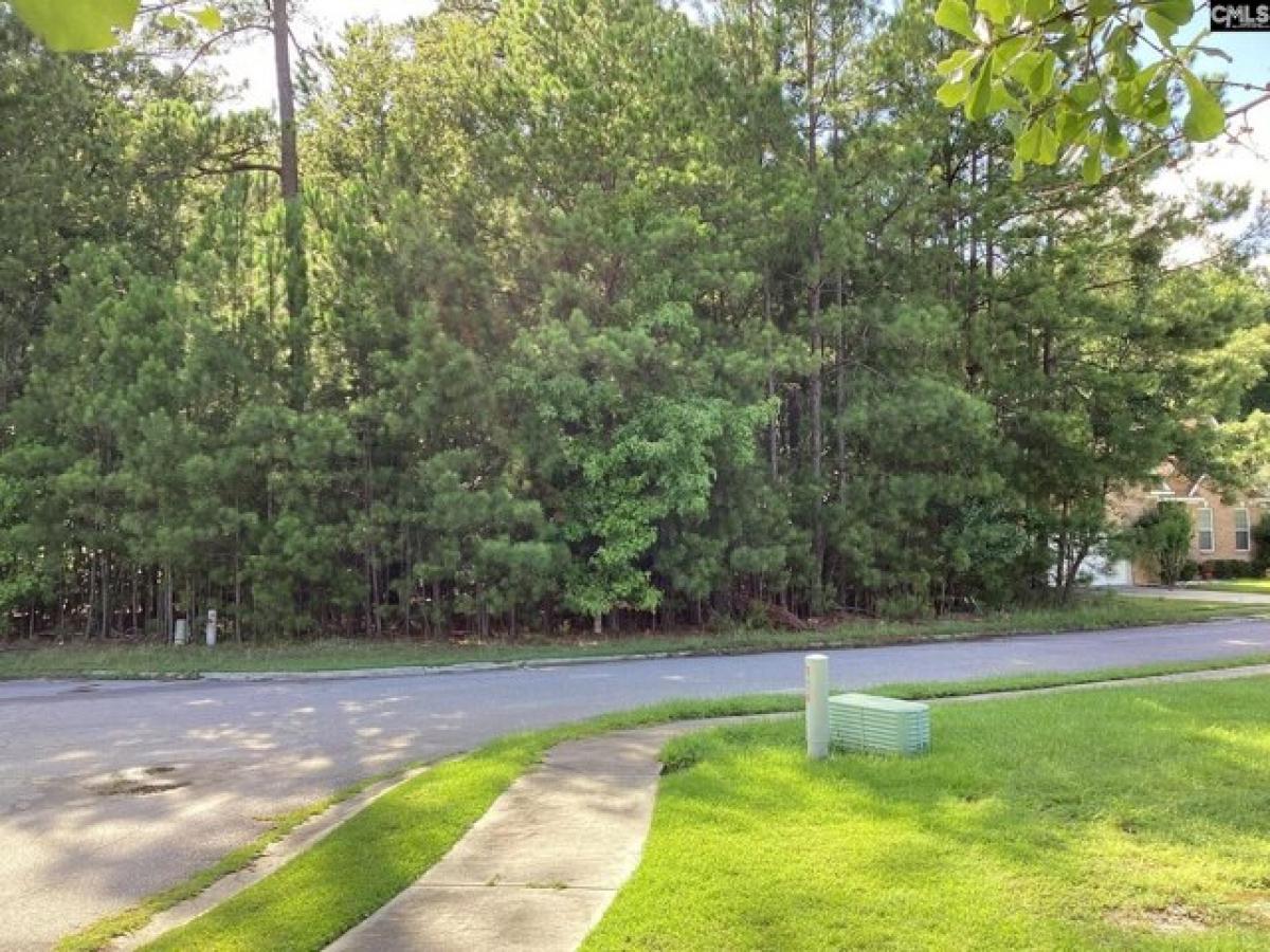 Picture of Residential Land For Sale in Columbia, South Carolina, United States