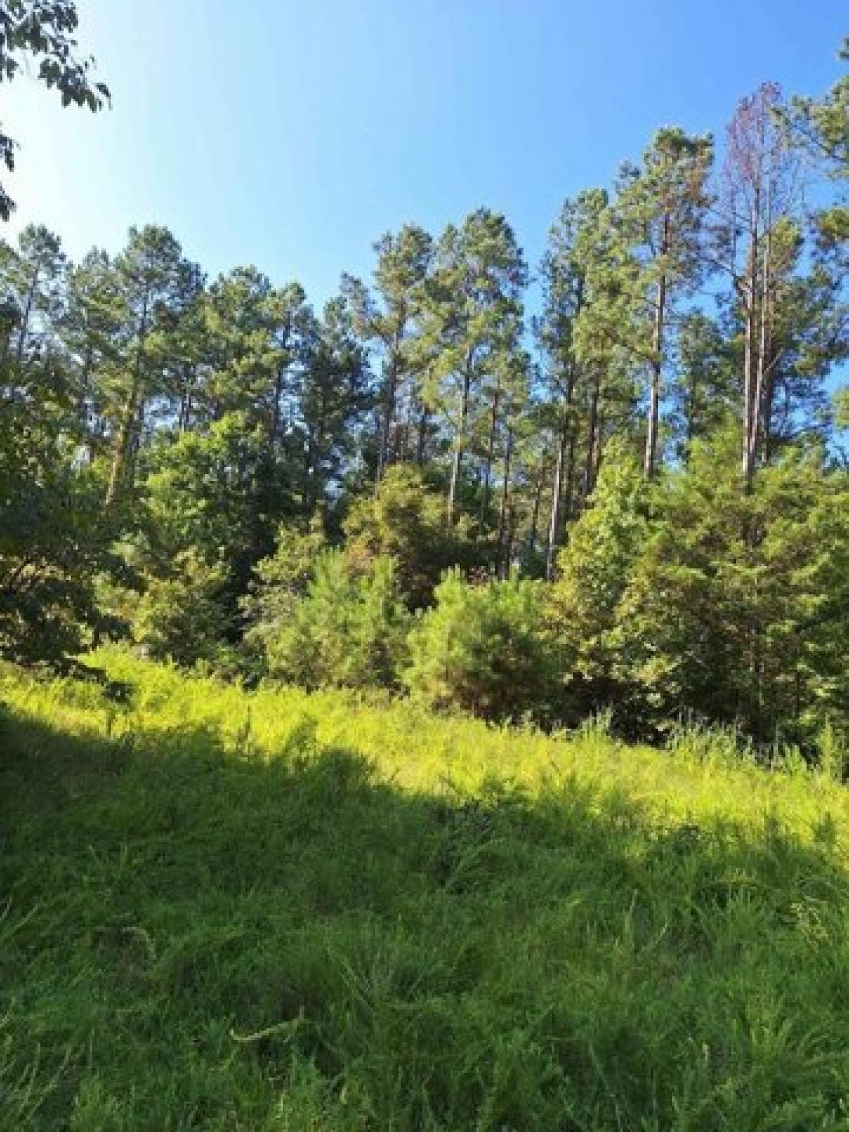 Picture of Residential Land For Sale in Ninety Six, South Carolina, United States