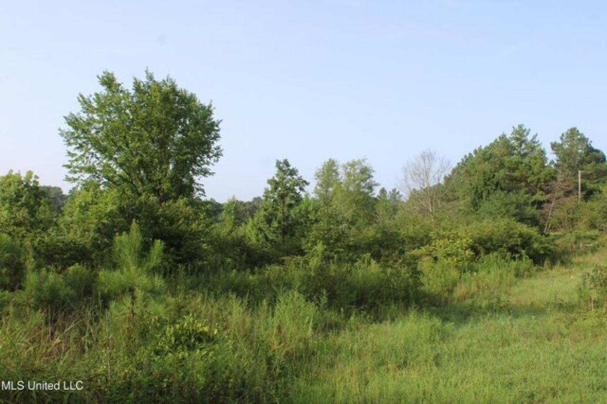 Picture of Residential Land For Sale in Holly Springs, Mississippi, United States