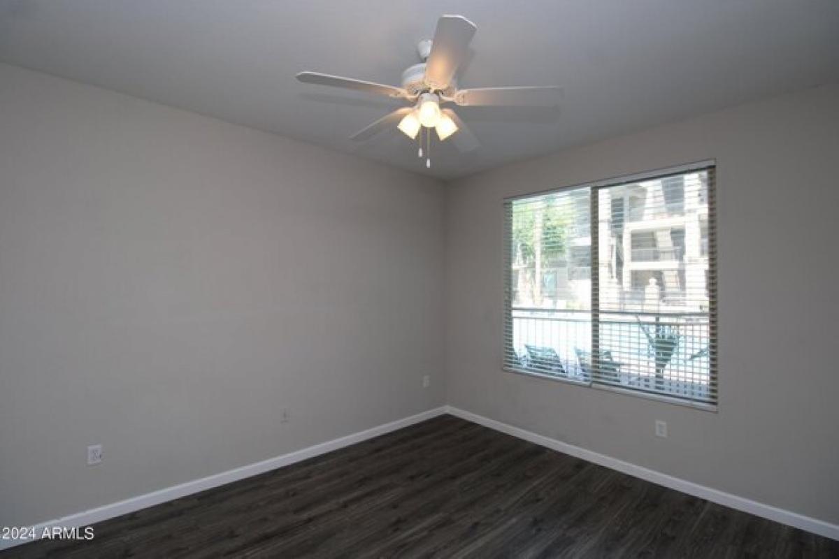 Picture of Apartment For Rent in Tempe, Arizona, United States