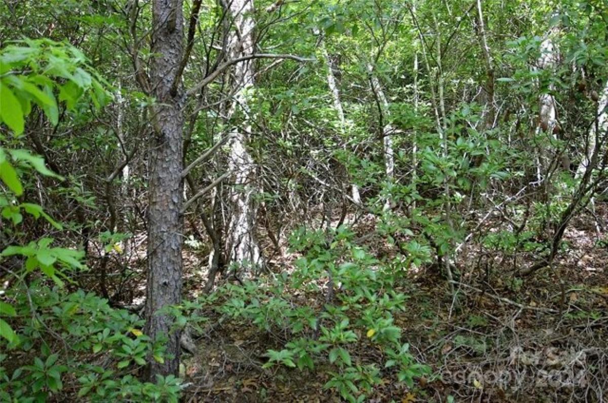 Picture of Residential Land For Sale in Old Fort, North Carolina, United States