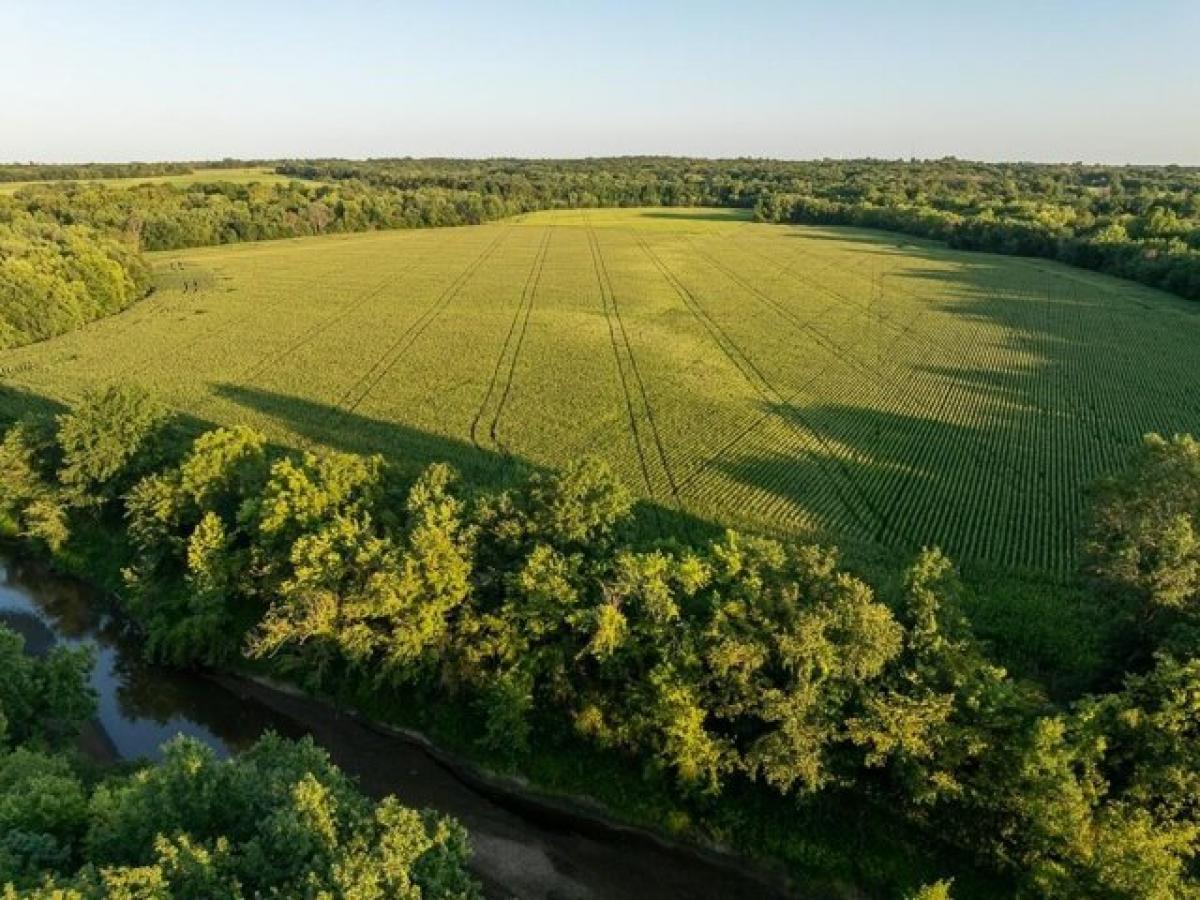 Picture of Residential Land For Sale in Pattonsburg, Missouri, United States