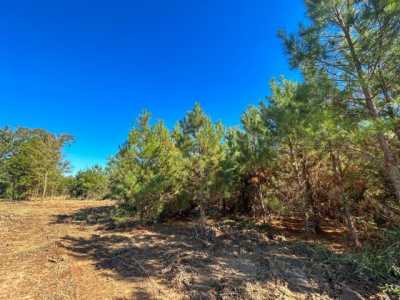 Residential Land For Sale in Long Branch, Texas