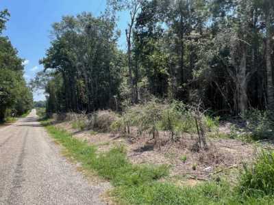 Residential Land For Sale in Kirbyville, Texas