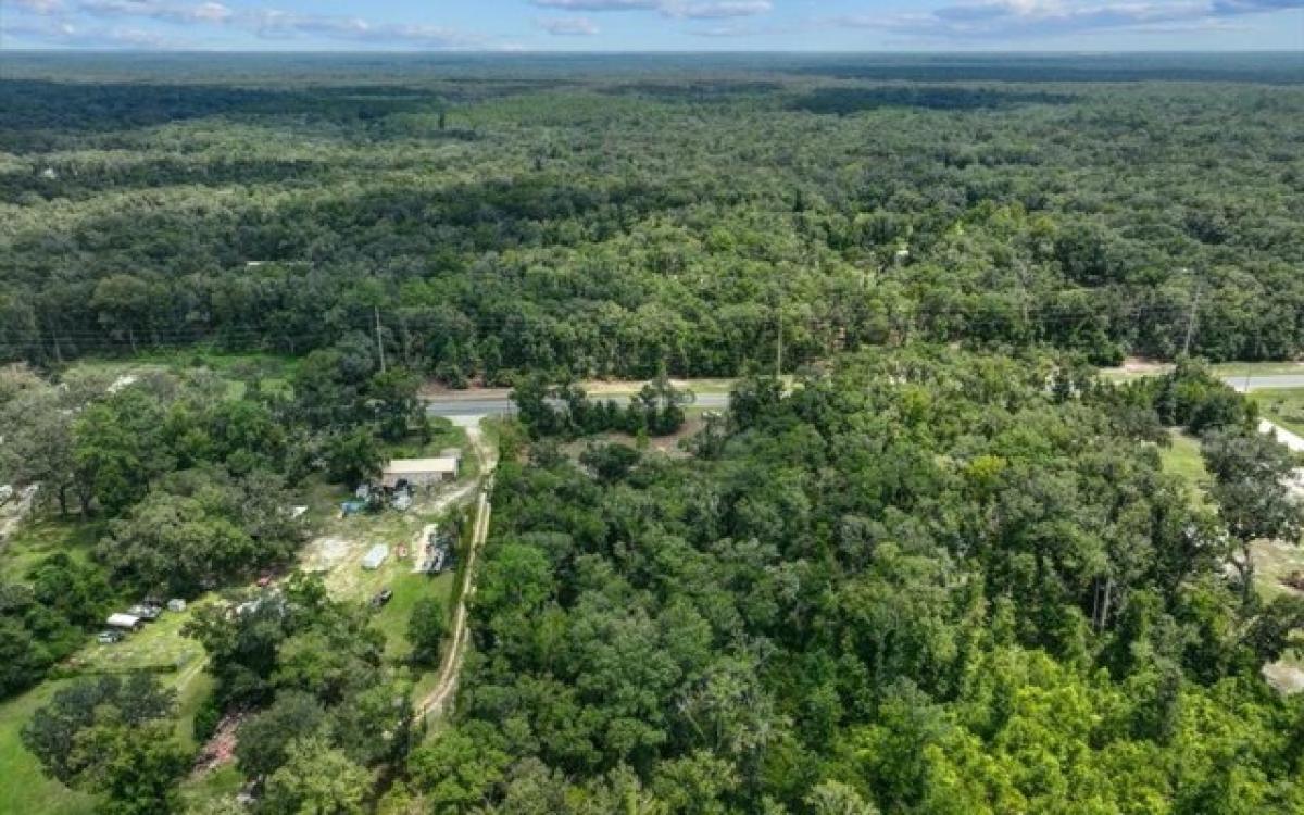 Picture of Residential Land For Sale in Old Town, Florida, United States