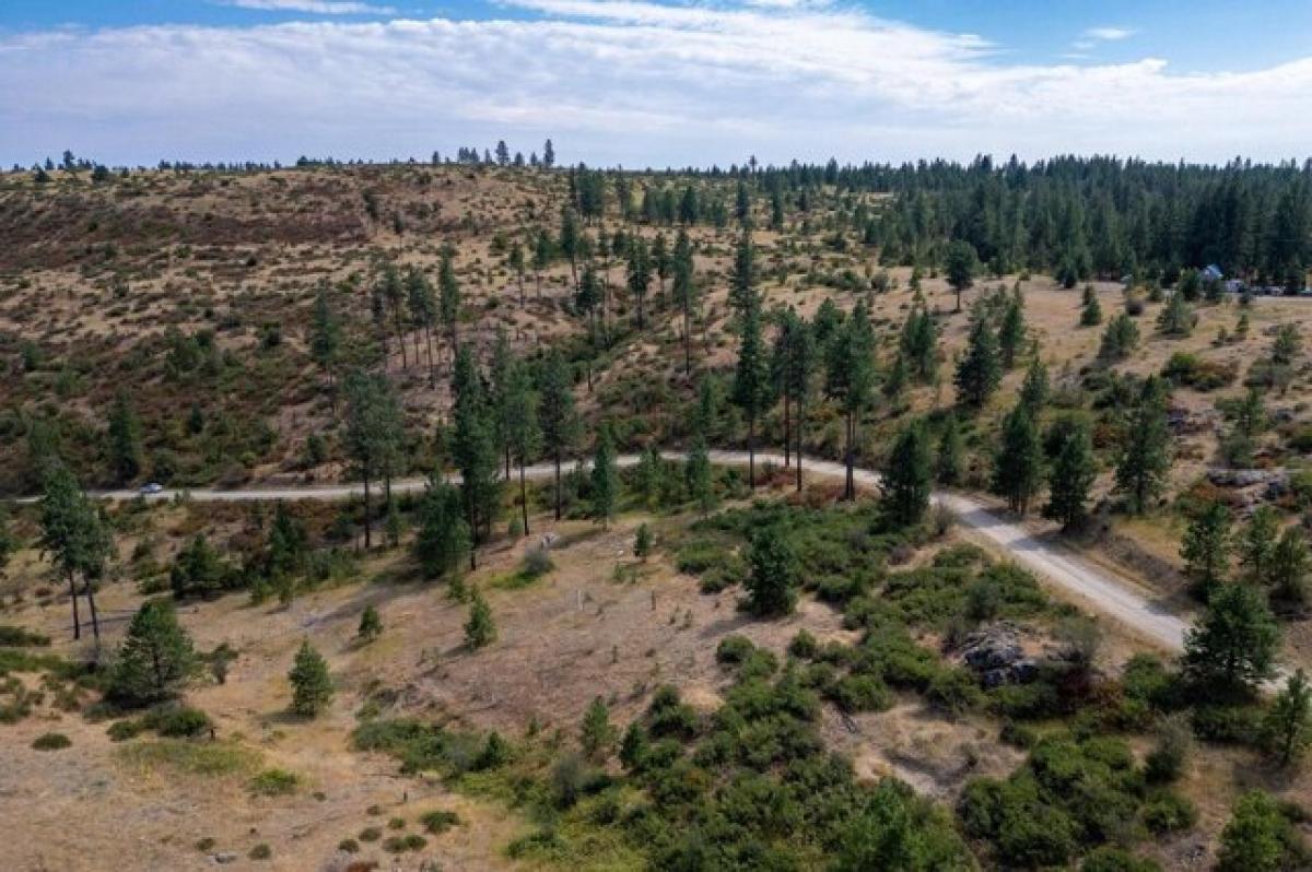 Picture of Residential Land For Sale in Nine Mile Falls, Washington, United States