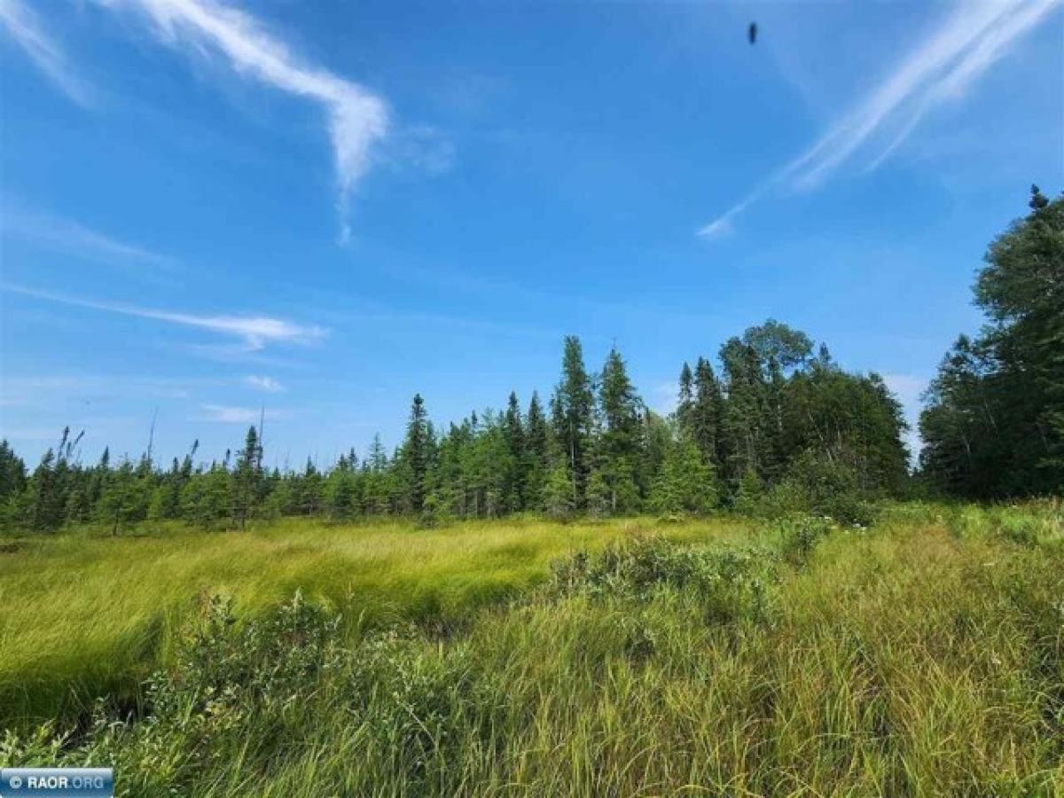 Picture of Residential Land For Sale in Cotton, Minnesota, United States