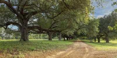 Residential Land For Sale in Plantersville, Texas