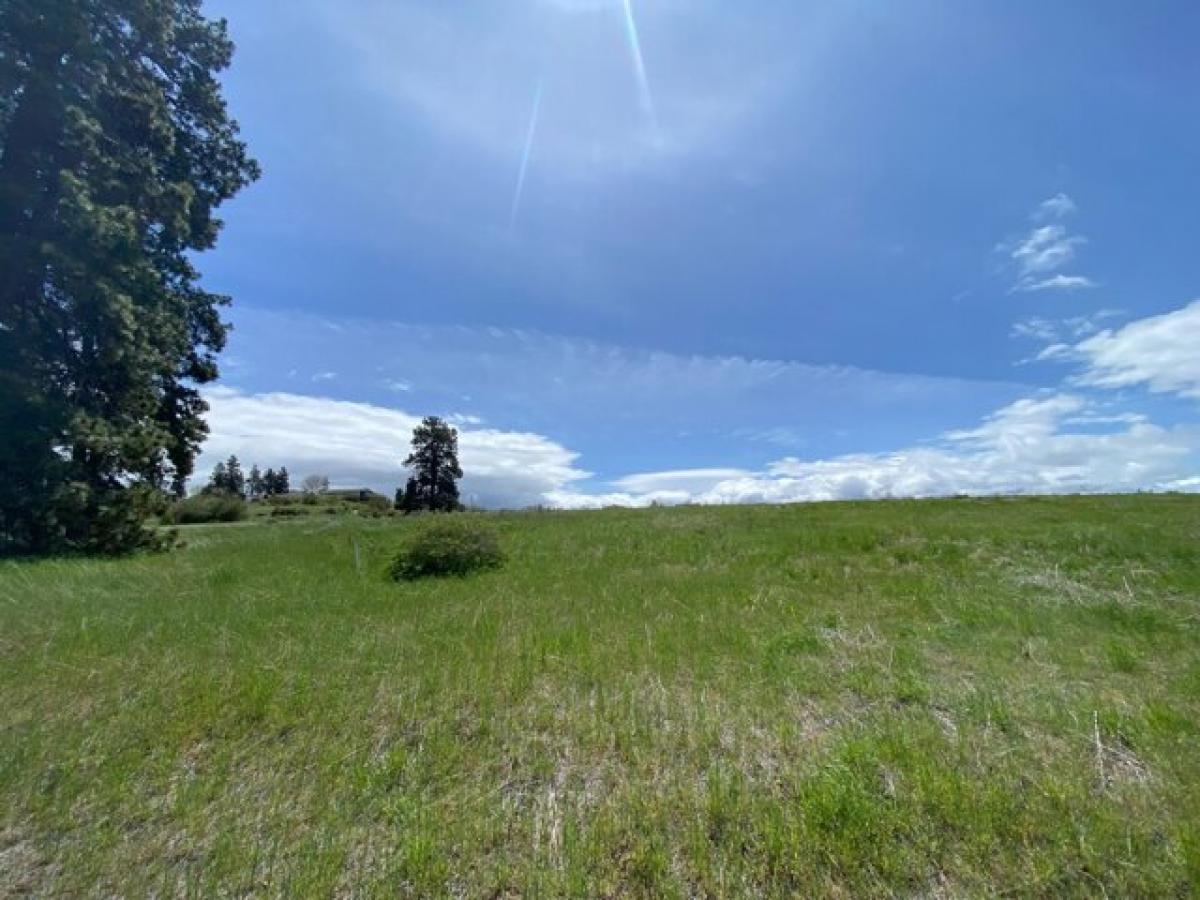 Picture of Residential Land For Sale in Chiloquin, Oregon, United States