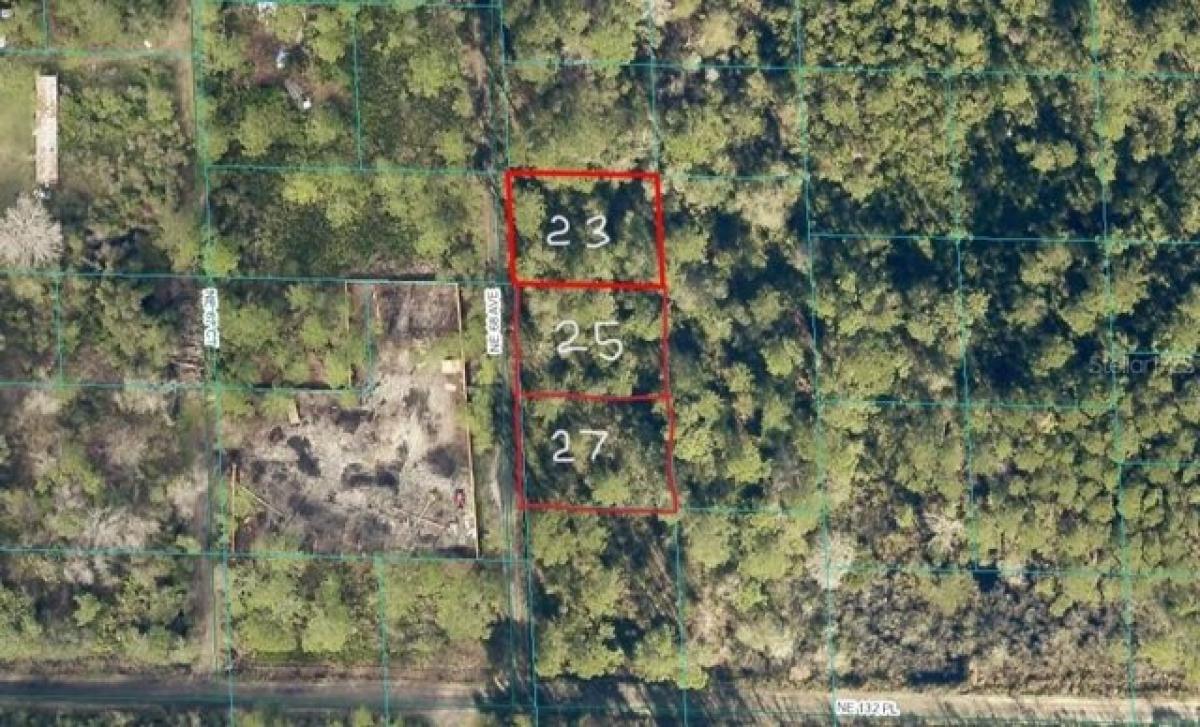 Picture of Residential Land For Sale in Citra, Florida, United States