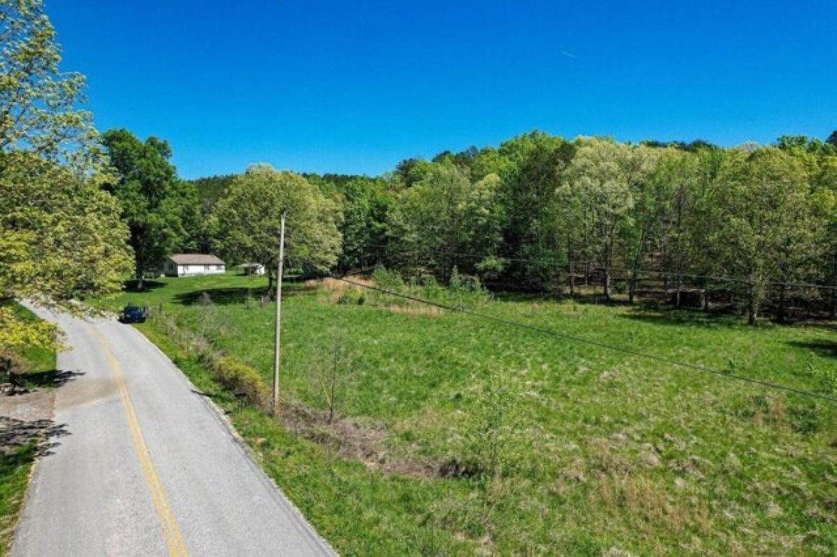 Picture of Residential Land For Sale in Decatur, Tennessee, United States