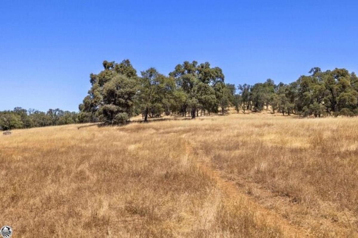 Picture of Residential Land For Sale in Sonora, California, United States