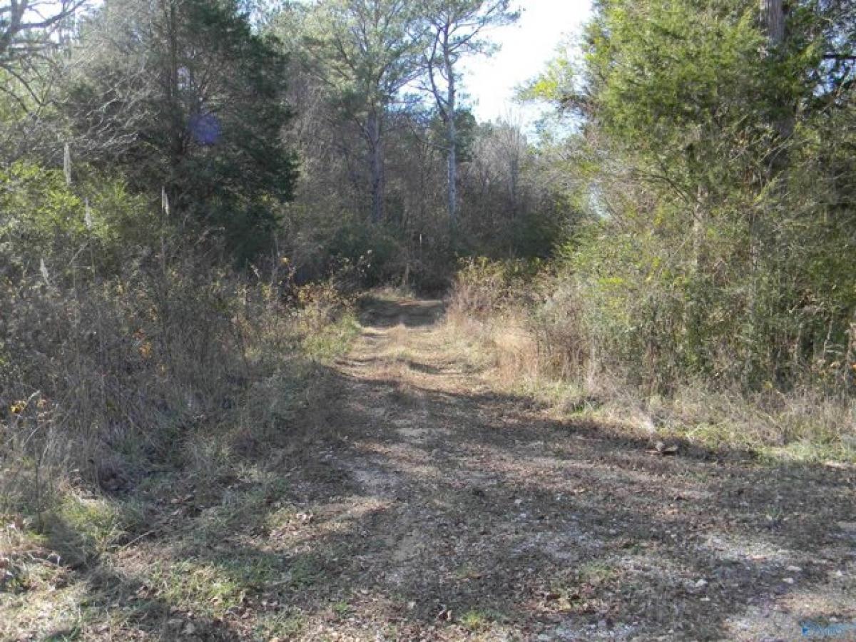 Picture of Residential Land For Sale in Gaylesville, Alabama, United States