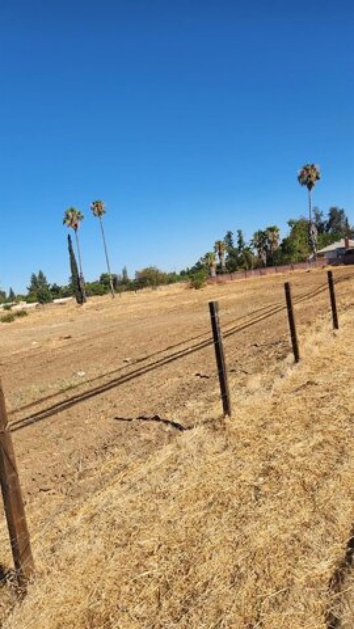 Picture of Residential Land For Sale in Fresno, California, United States