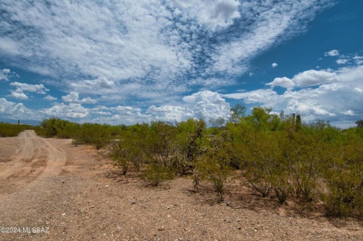 Picture of Residential Land For Sale in Sahuarita, Arizona, United States