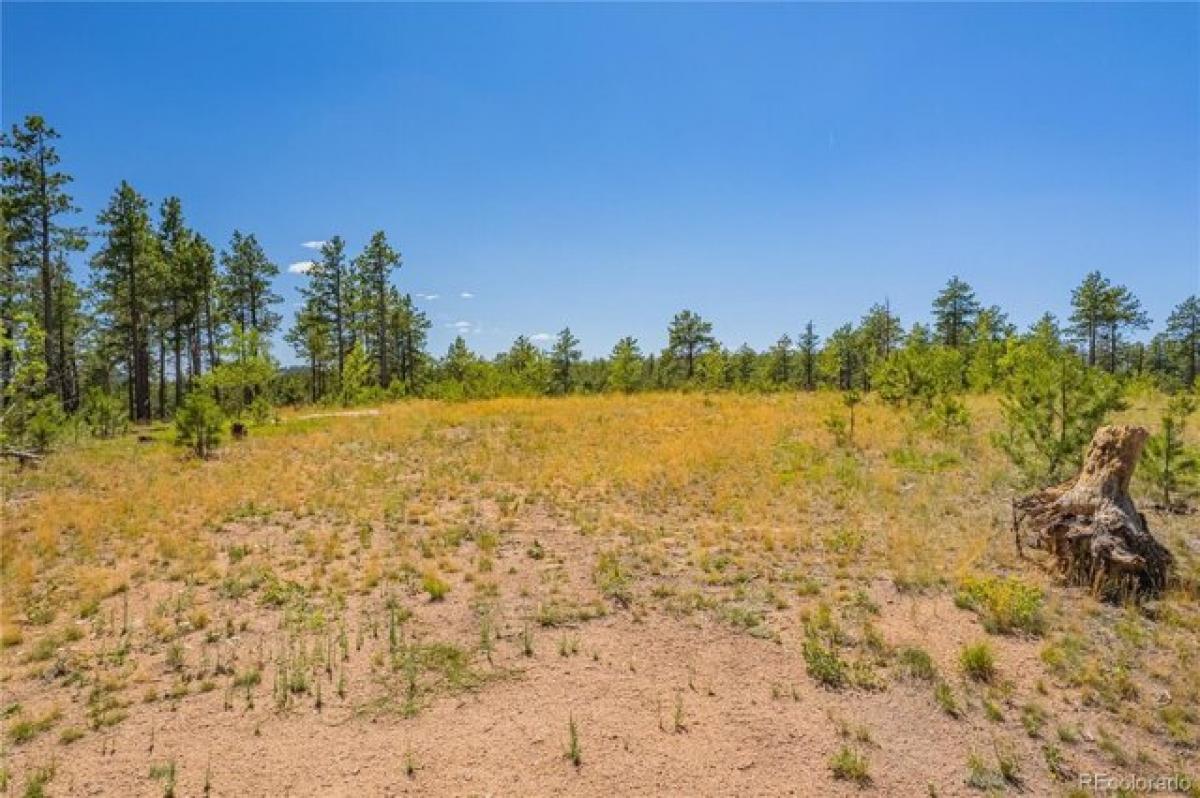 Picture of Residential Land For Sale in Florissant, Colorado, United States