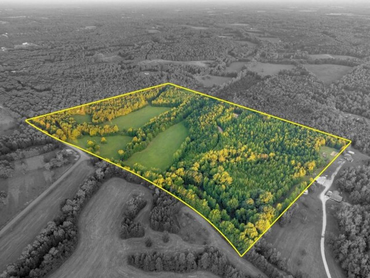 Picture of Residential Land For Sale in Florence, Alabama, United States