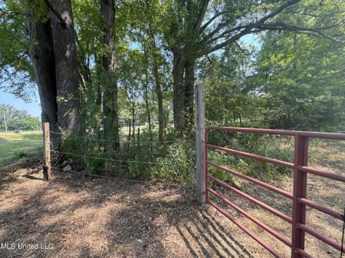 Picture of Residential Land For Sale in Canton, Mississippi, United States