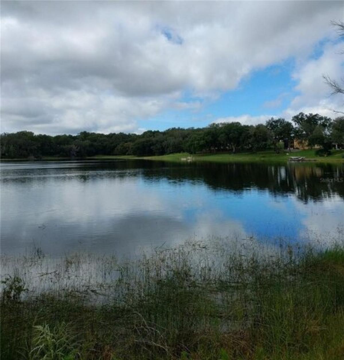 Picture of Residential Land For Sale in Lady Lake, Florida, United States