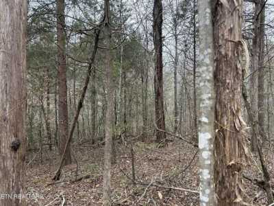 Residential Land For Sale in Newport, Tennessee