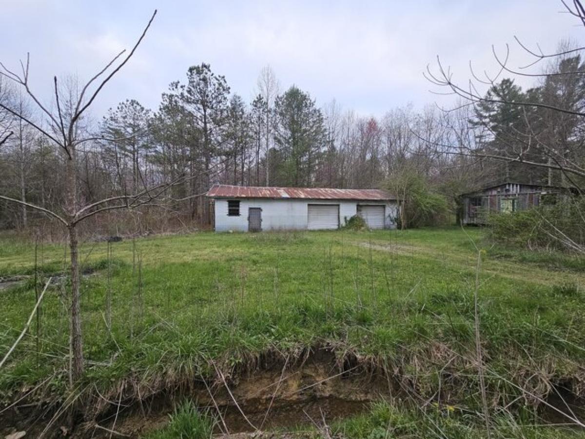 Picture of Residential Land For Sale in Palmer, Tennessee, United States