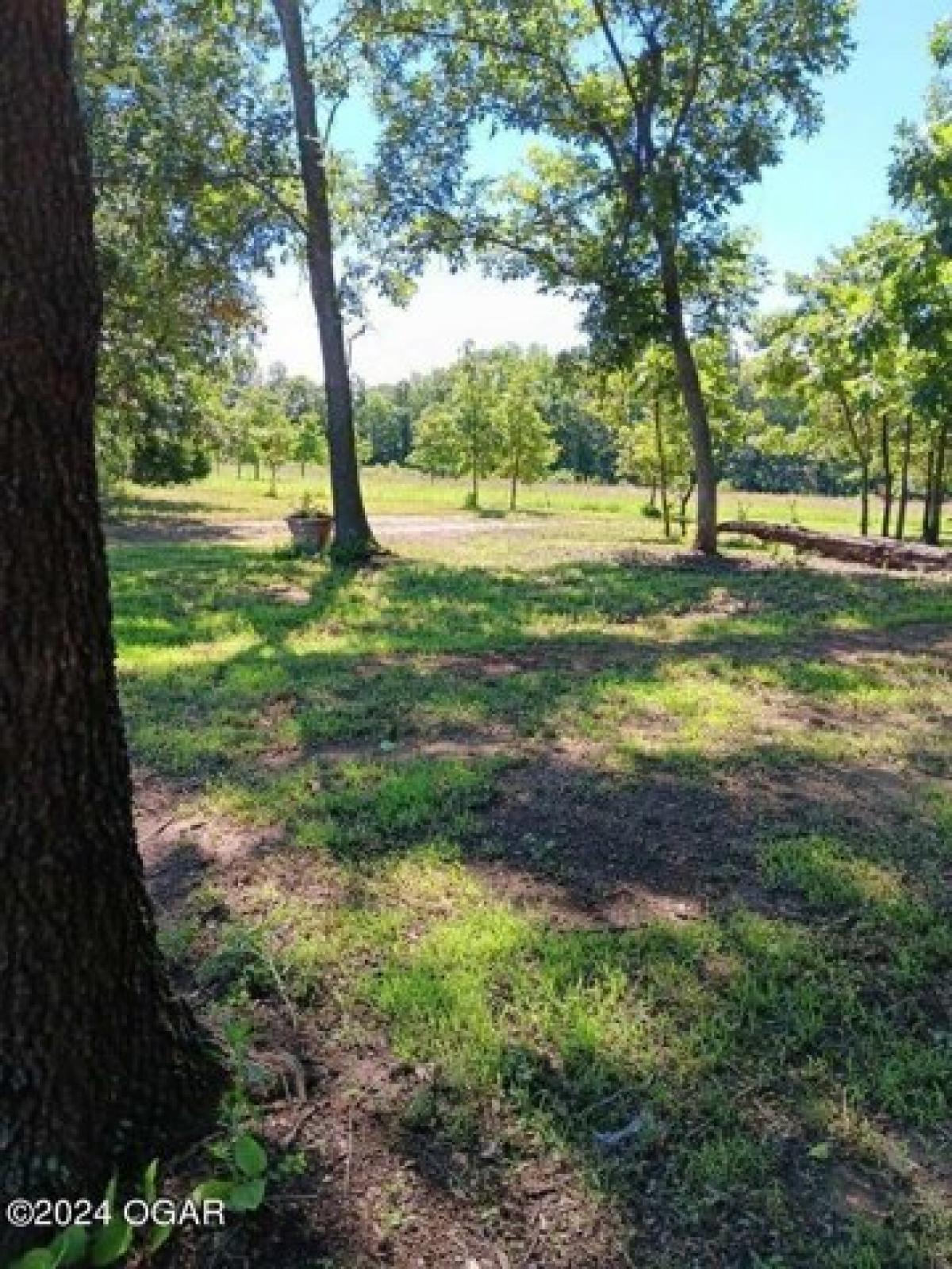 Picture of Residential Land For Sale in Milo, Missouri, United States