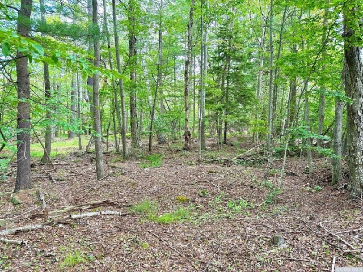 Picture of Residential Land For Sale in East Jewett, New York, United States