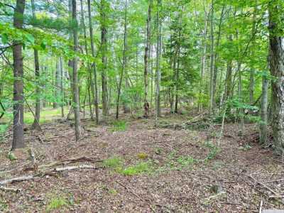 Residential Land For Sale in East Jewett, New York