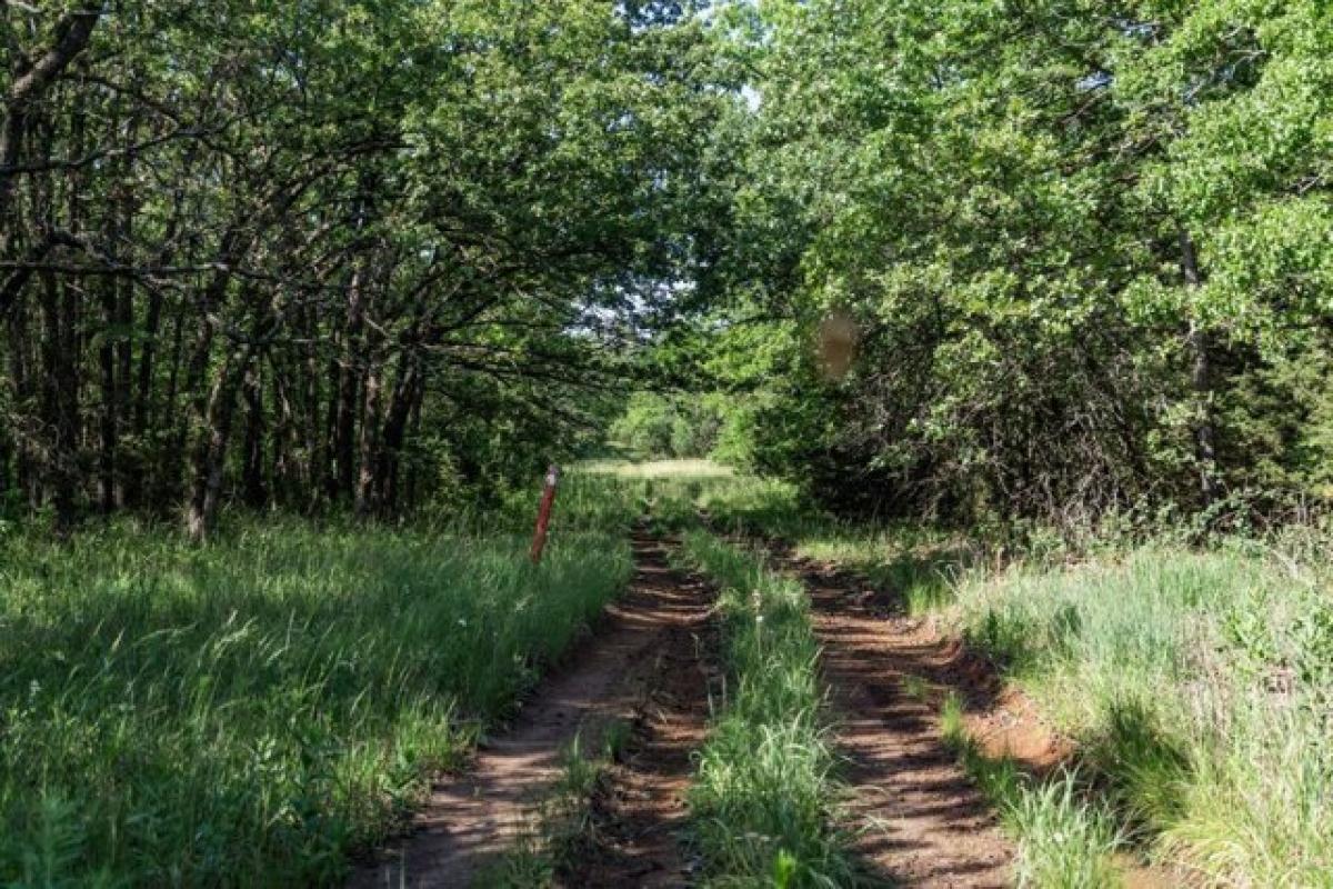 Picture of Residential Land For Sale in Neodesha, Kansas, United States