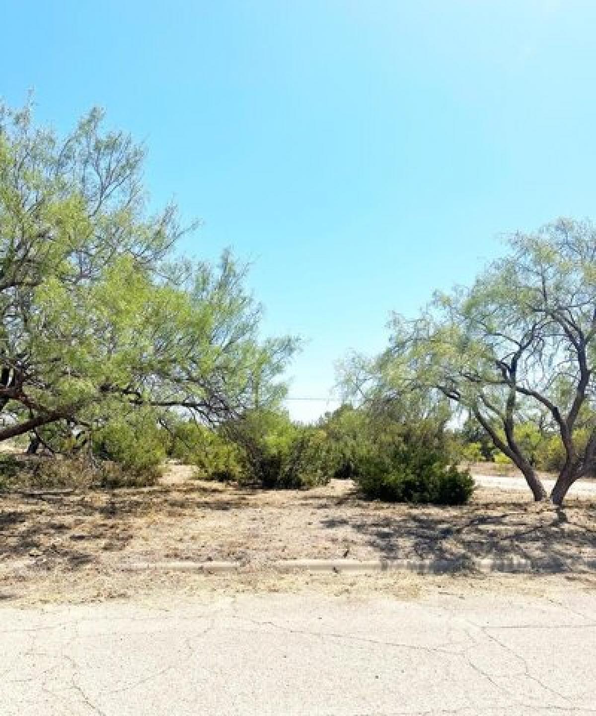 Picture of Residential Land For Sale in Big Spring, Texas, United States