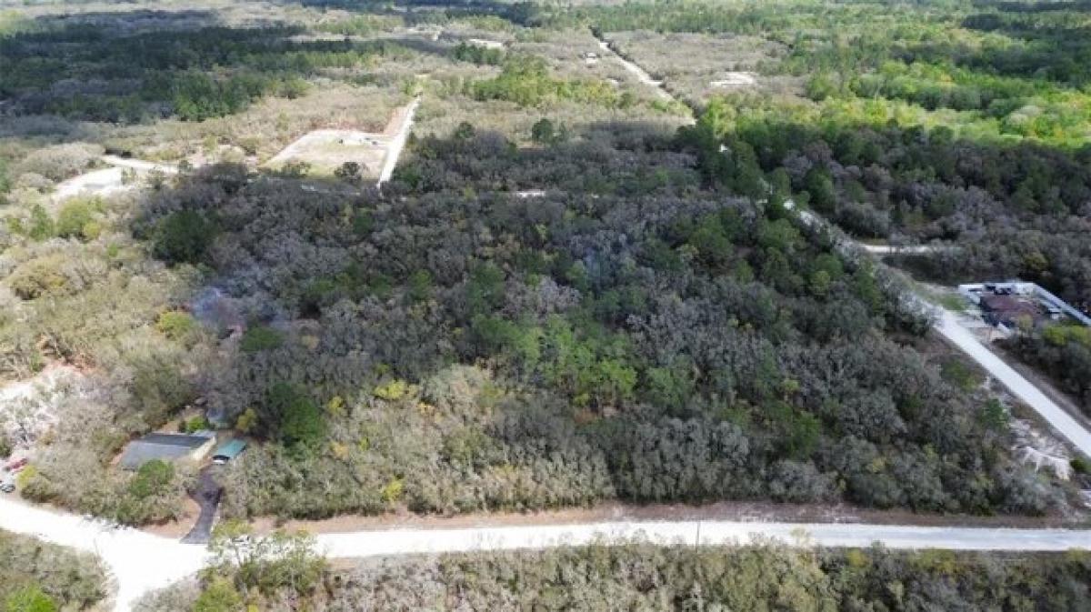 Picture of Residential Land For Sale in Webster, Florida, United States