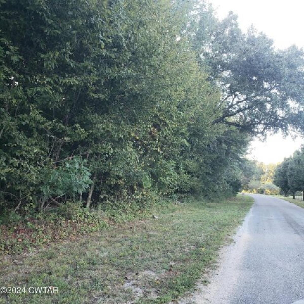 Picture of Residential Land For Sale in Holladay, Tennessee, United States