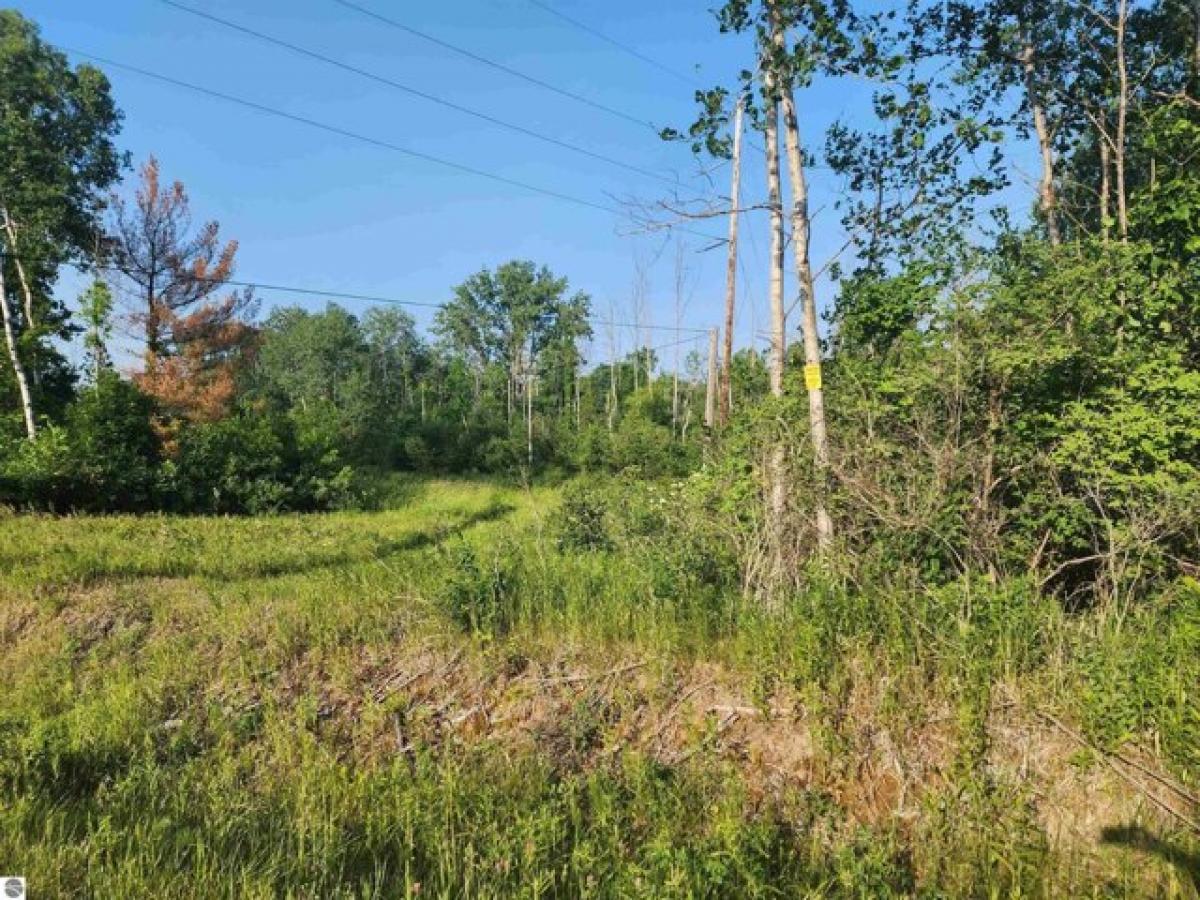 Picture of Residential Land For Sale in Omer, Michigan, United States