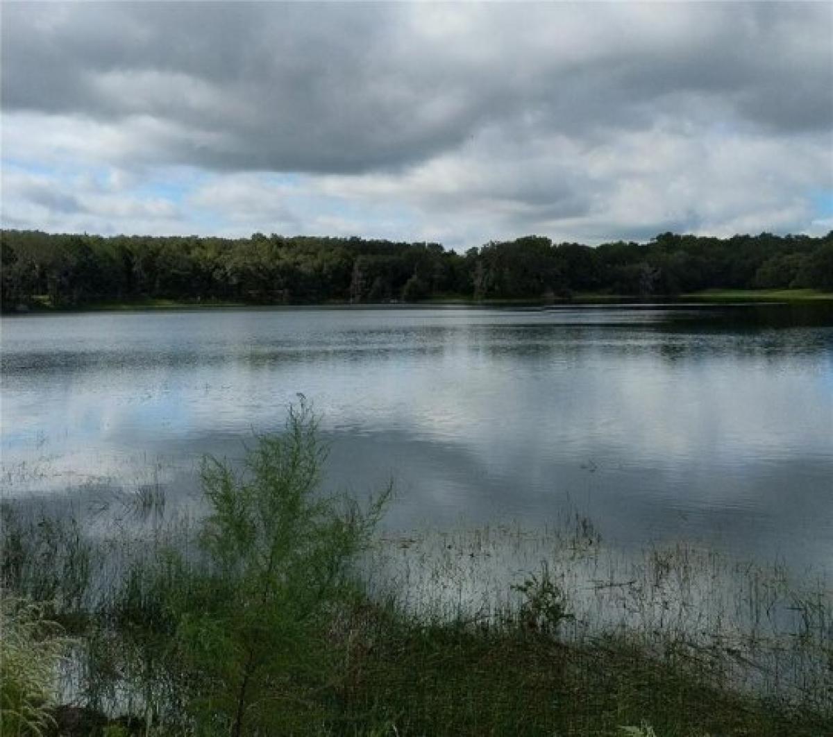 Picture of Residential Land For Sale in Lady Lake, Florida, United States