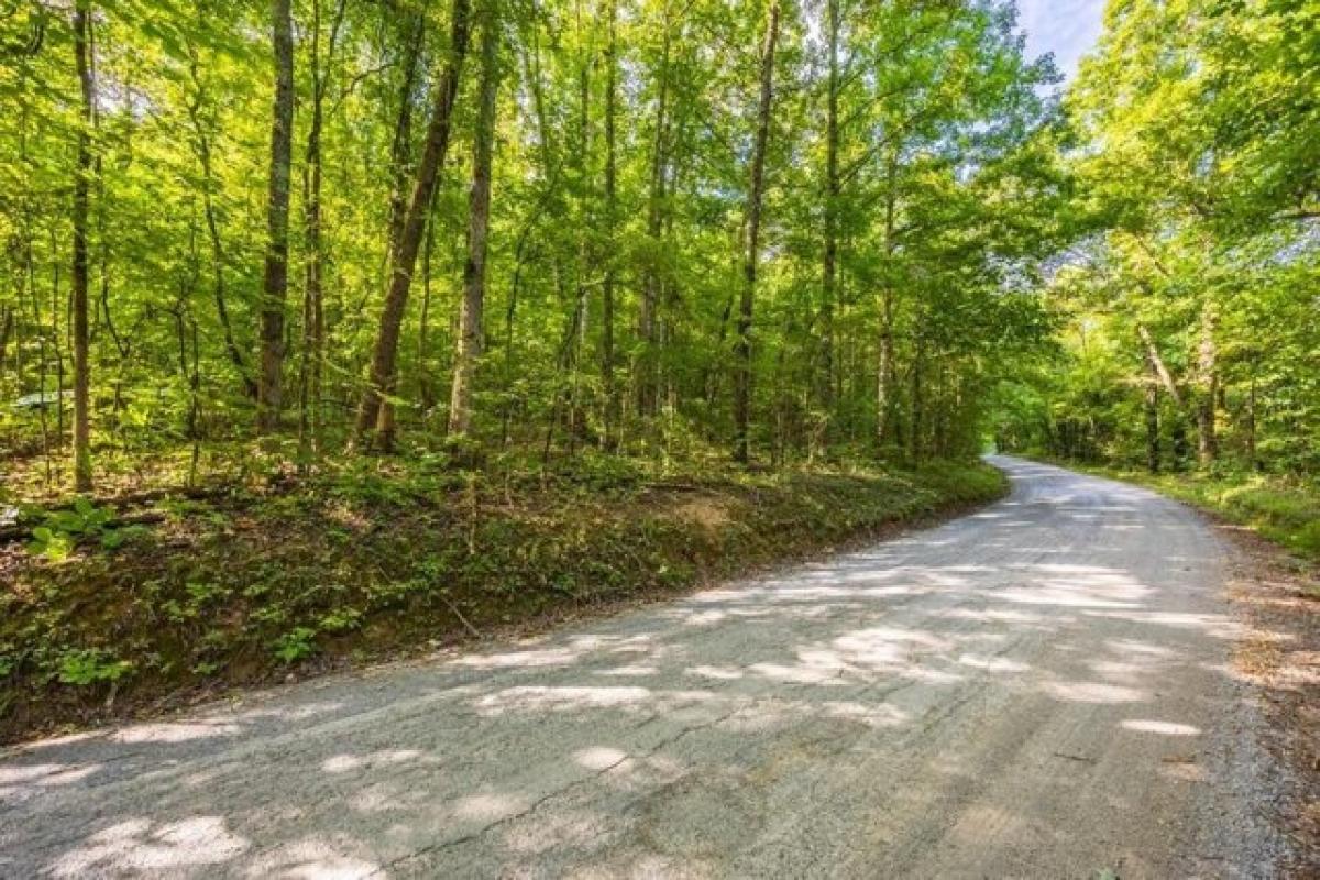 Picture of Residential Land For Sale in Decatur, Tennessee, United States