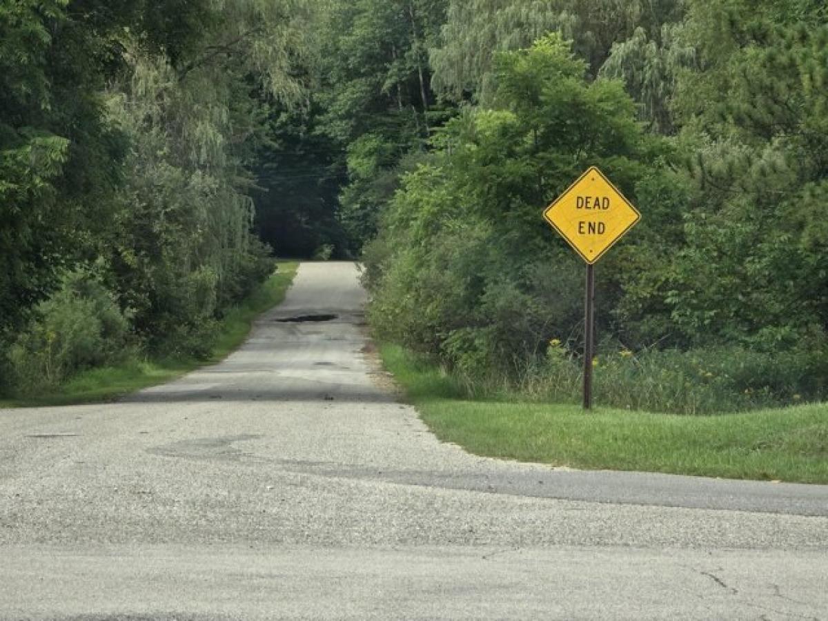 Picture of Residential Land For Sale in Hesperia, Michigan, United States