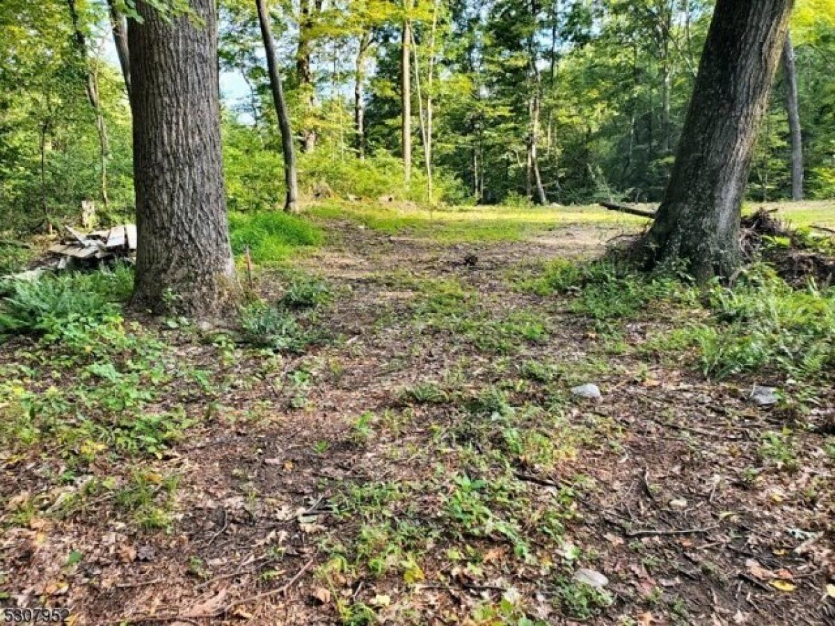 Picture of Residential Land For Sale in Hope, New Jersey, United States