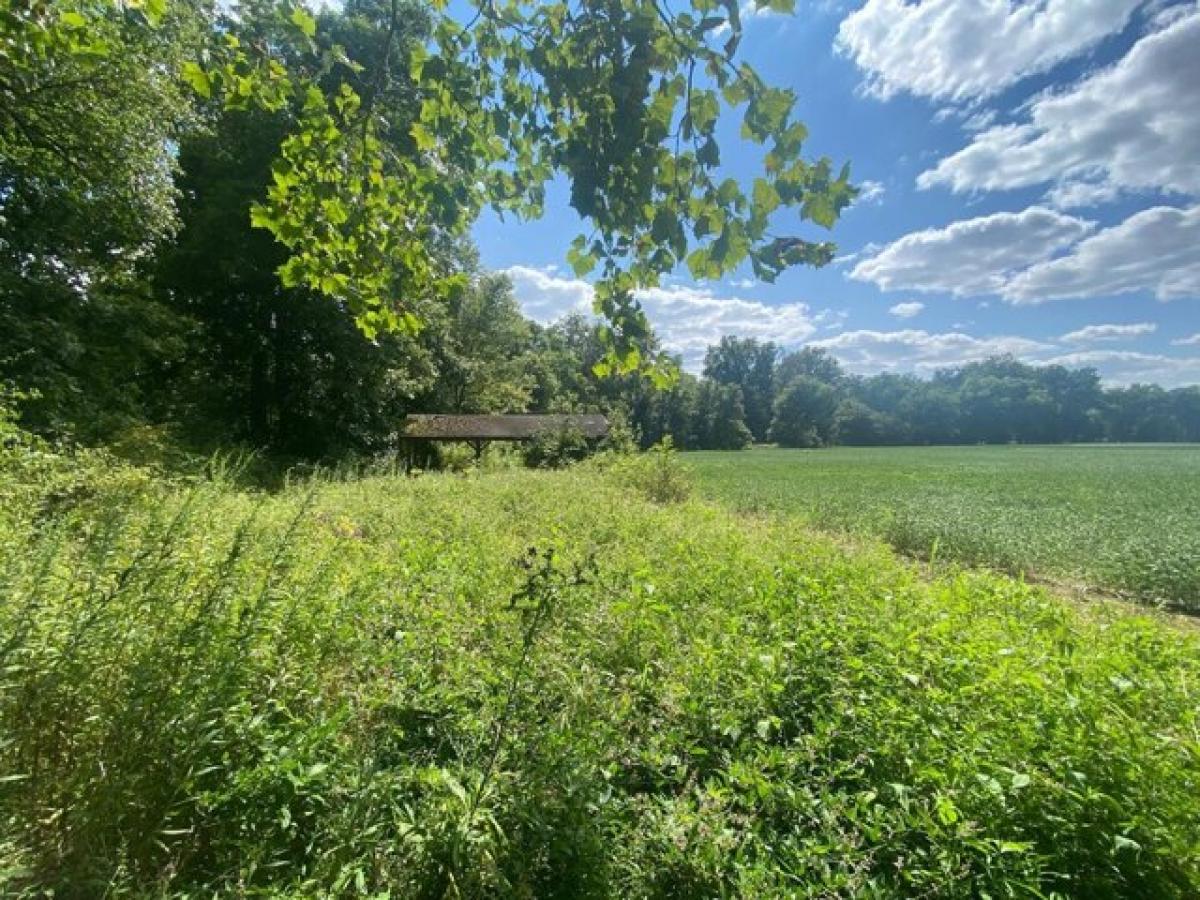 Picture of Residential Land For Sale in Vevay, Indiana, United States