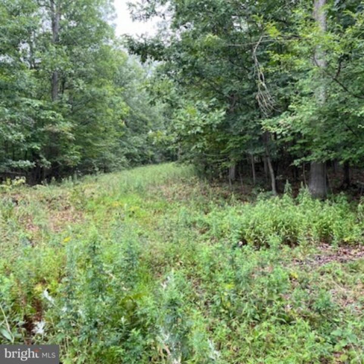 Picture of Residential Land For Sale in Newburg, Pennsylvania, United States