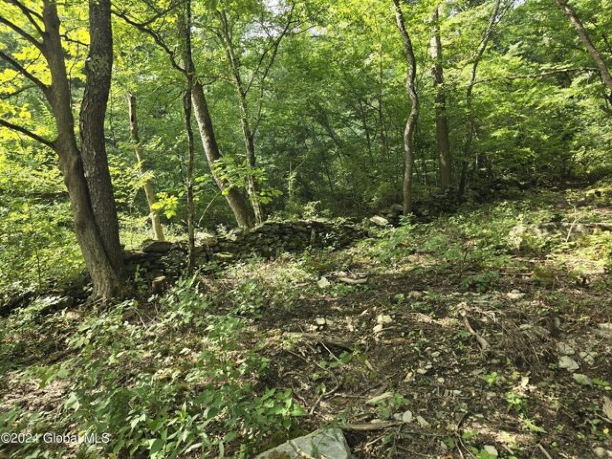 Picture of Residential Land For Sale in Shushan, New York, United States