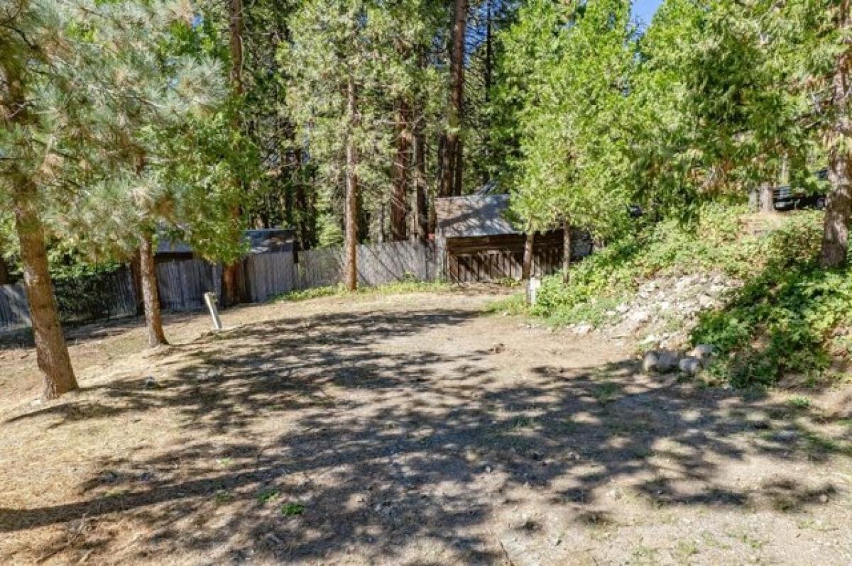 Picture of Home For Sale in Pioneer, California, United States