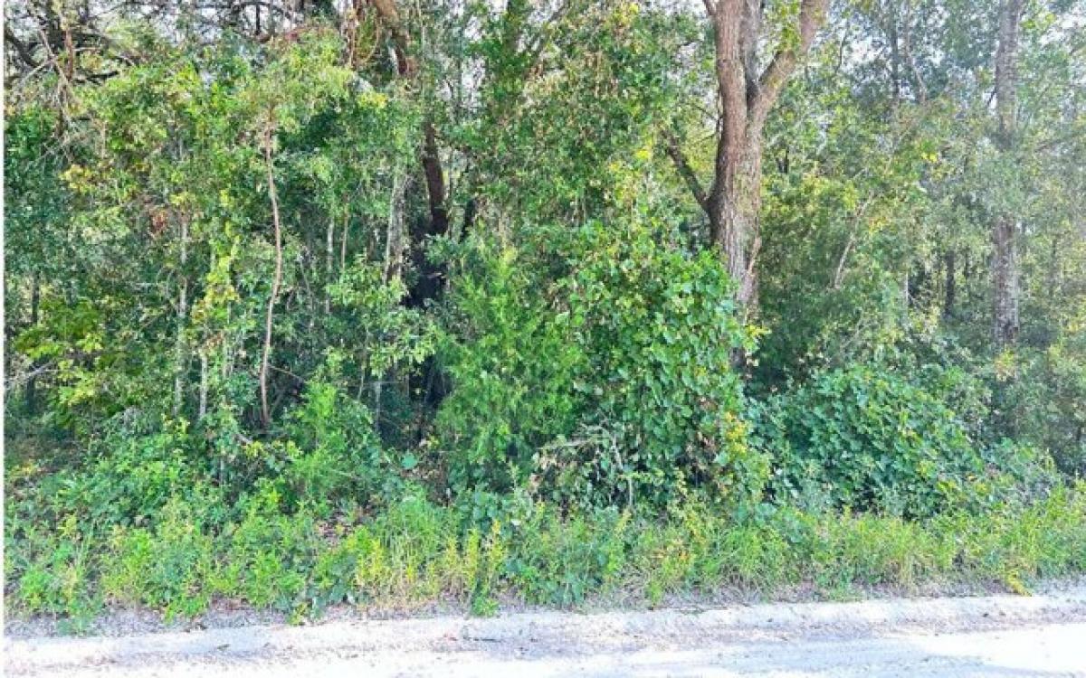 Picture of Residential Land For Sale in Live Oak, Florida, United States