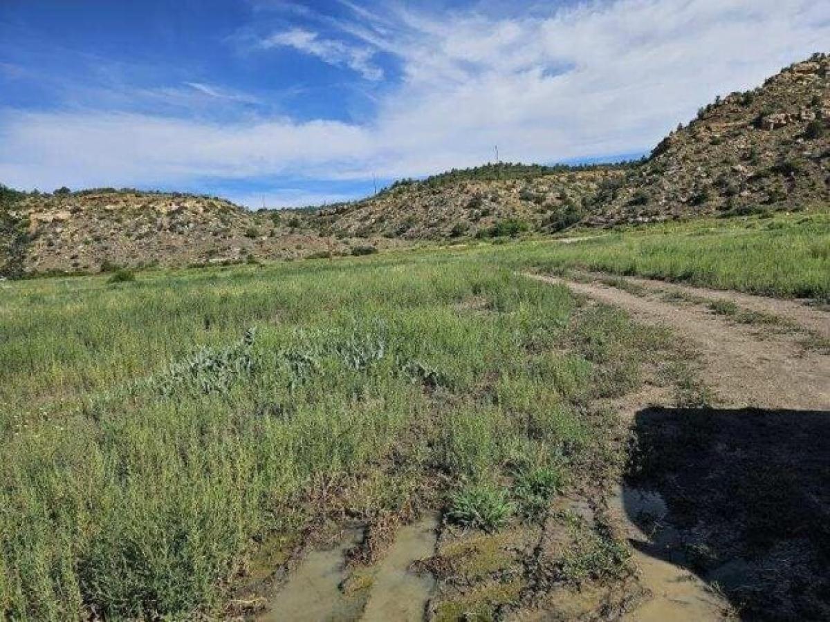 Picture of Residential Land For Sale in Trinidad, Colorado, United States